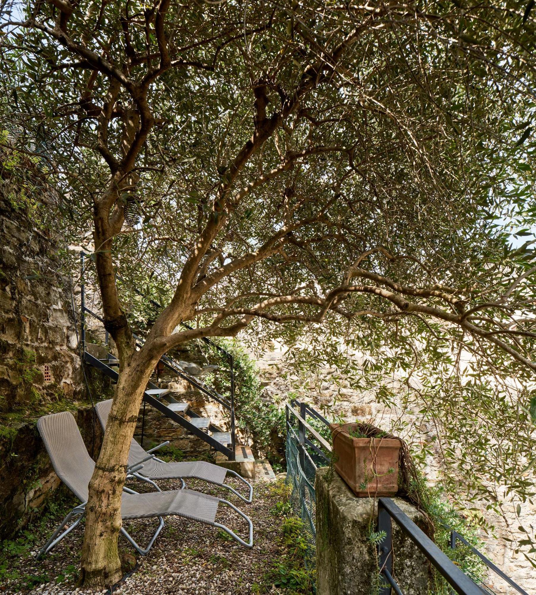 شقة Giardino Segreto, In Centro ترييستي المظهر الخارجي الصورة